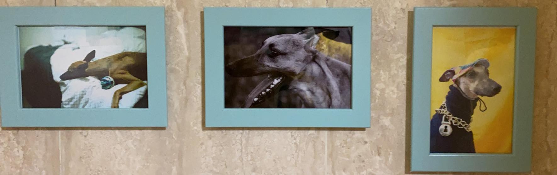 針對物質使用疾患的動機促進心理治療